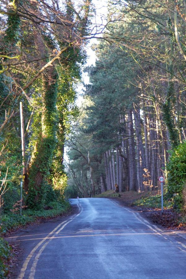 Bed and Breakfast Formby Pinewood Studio Екстер'єр фото